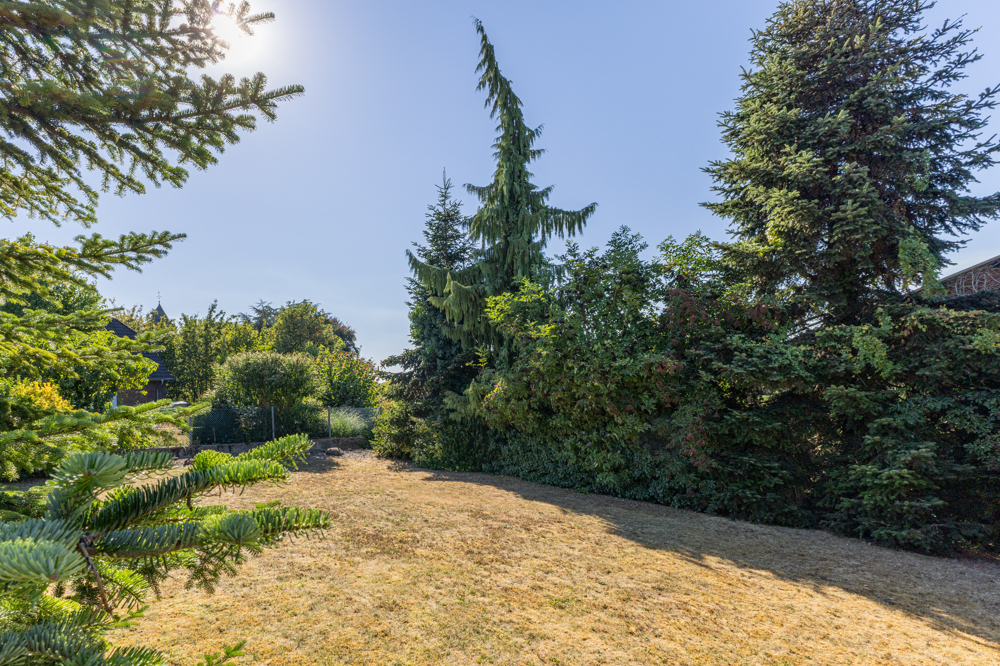 Gartenimpressionen