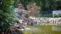 Gartenimpressionen