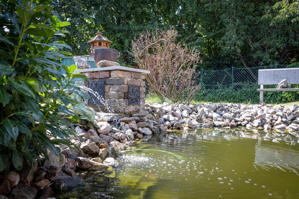 Gartenimpressionen
