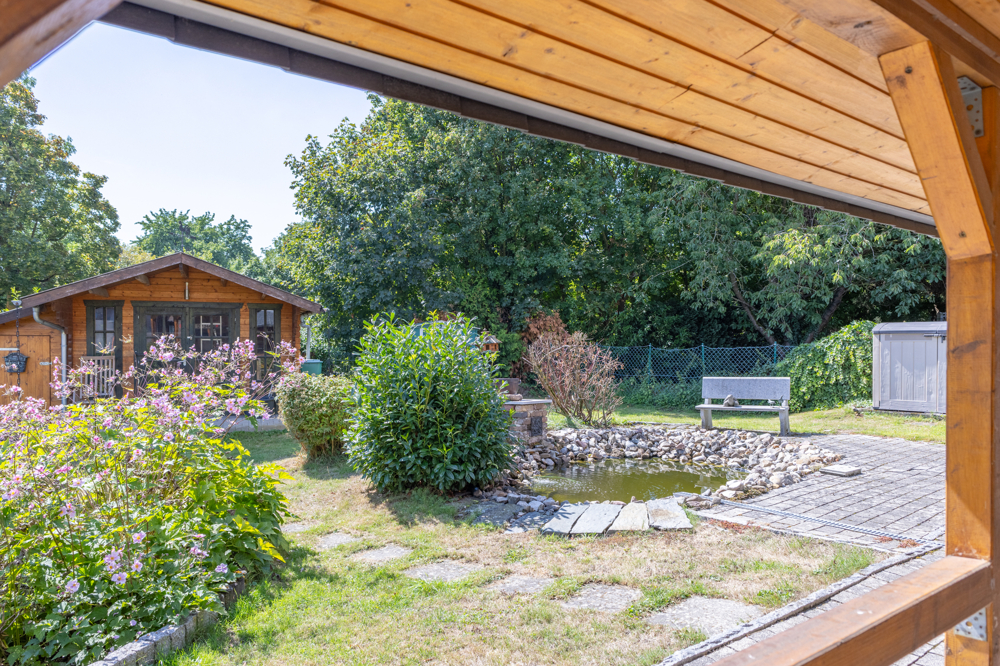 Blick in den Garten